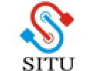 situ